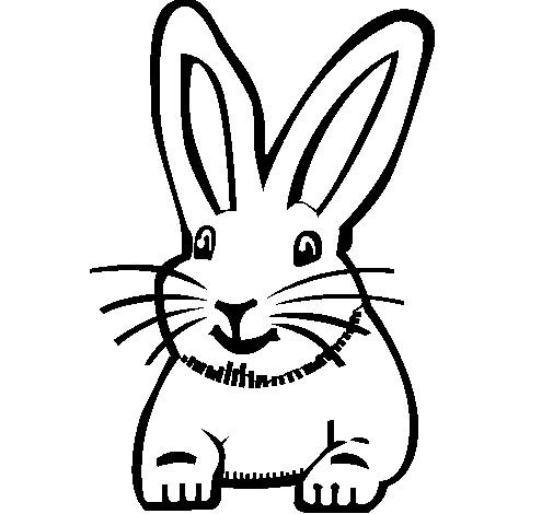 Dibuix de Conill per Pintar on-line