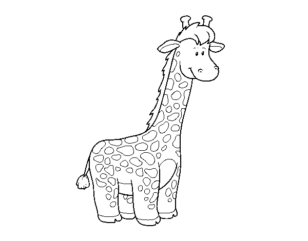 Dibuix de Una girafa africana per Pintar on-line