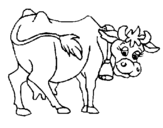 Dibuix de Vaca 2 per pintar