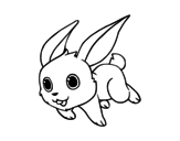 Dibuix de Conill de camp per pintar