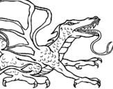 Dibuix de Drac rèptil per pintar