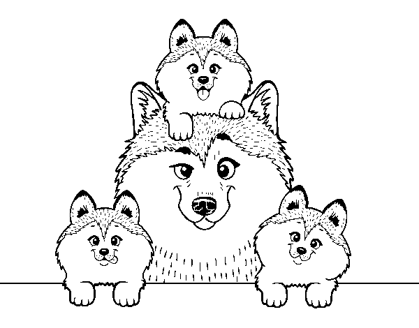 Dibuix de Família Husky per Pintar on-line