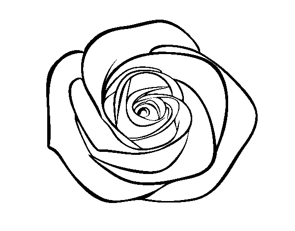 Dibuix de Flor de rosa per Pintar on-line