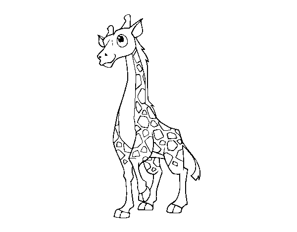 Dibuix de Girafa femella per Pintar on-line