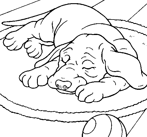 Dibuix de Gos dormint per Pintar on-line