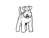 Dibuix de Gos Fox terrier per pintar