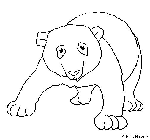 Dibuix de Ós panda per Pintar on-line